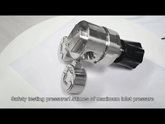 Stainless Steel Pressure Regulator